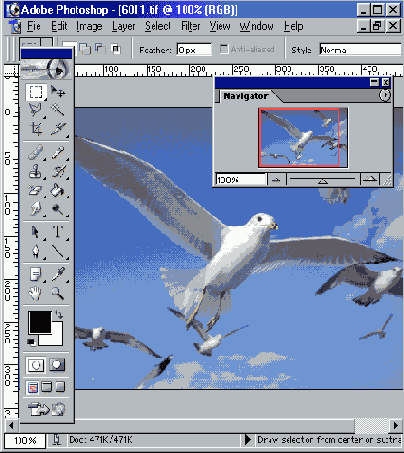 

     Photoshop 7

