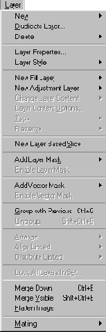 

Layer
