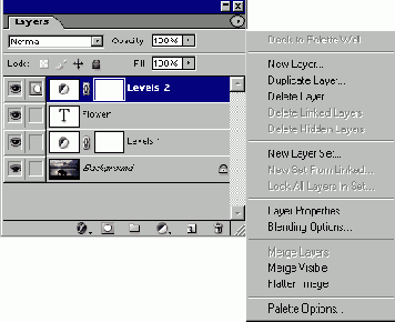 

Layers
