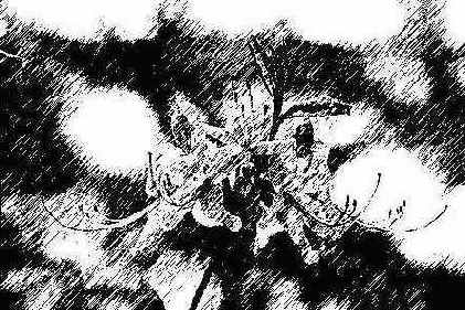 

 Sketch
