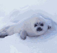 Самоучитель по Adobe Photoshop 7